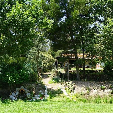 Quinta Do Vale Grande Βίλα Albergaria-a-Velha Εξωτερικό φωτογραφία