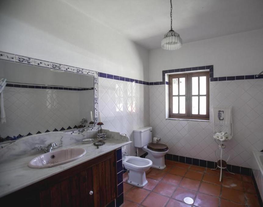 Quinta Do Vale Grande Βίλα Albergaria-a-Velha Εξωτερικό φωτογραφία