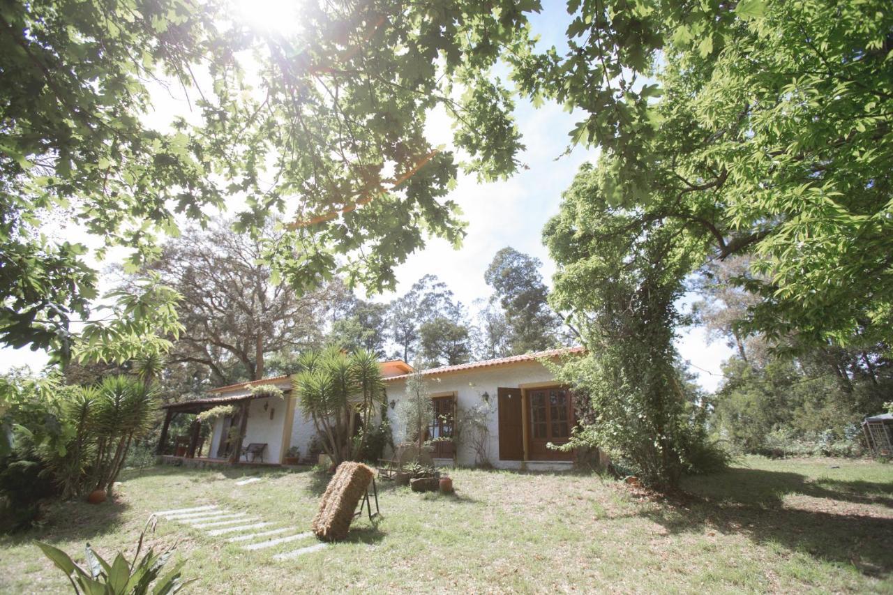 Quinta Do Vale Grande Βίλα Albergaria-a-Velha Εξωτερικό φωτογραφία