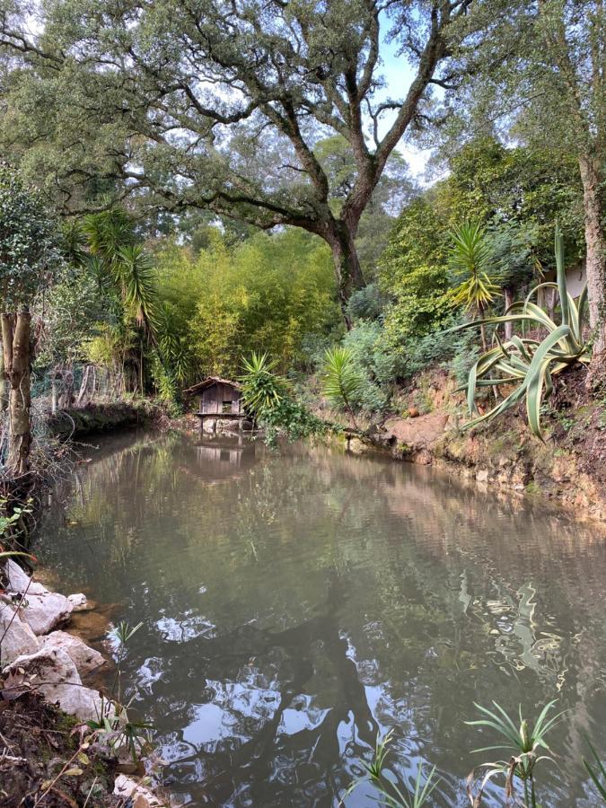 Quinta Do Vale Grande Βίλα Albergaria-a-Velha Εξωτερικό φωτογραφία
