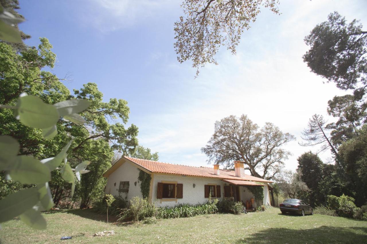 Quinta Do Vale Grande Βίλα Albergaria-a-Velha Εξωτερικό φωτογραφία