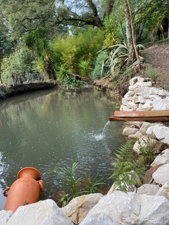 Quinta Do Vale Grande Βίλα Albergaria-a-Velha Εξωτερικό φωτογραφία