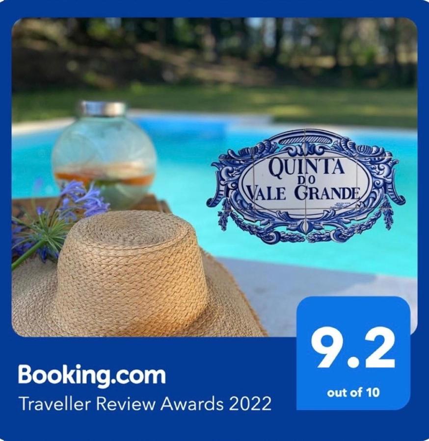 Quinta Do Vale Grande Βίλα Albergaria-a-Velha Εξωτερικό φωτογραφία