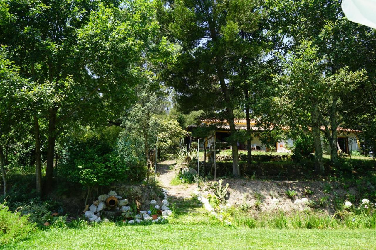 Quinta Do Vale Grande Βίλα Albergaria-a-Velha Εξωτερικό φωτογραφία