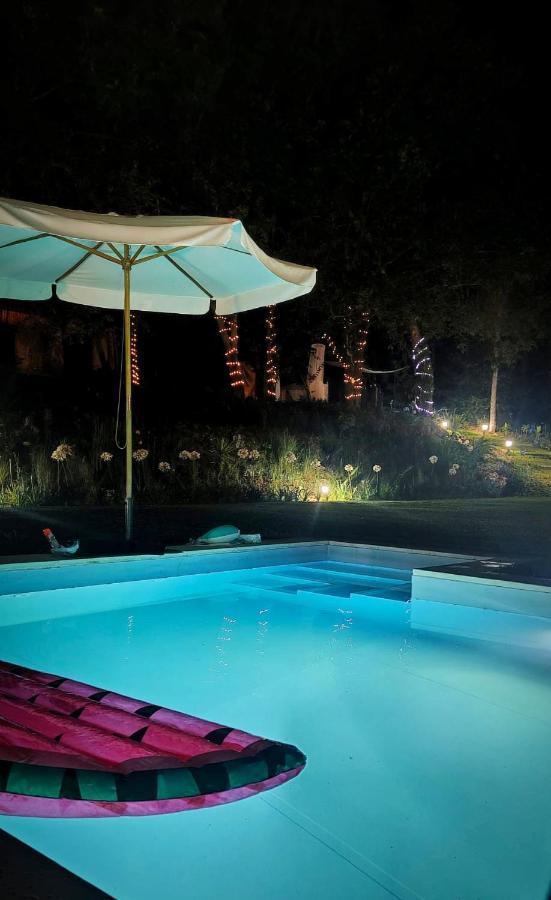 Quinta Do Vale Grande Βίλα Albergaria-a-Velha Εξωτερικό φωτογραφία