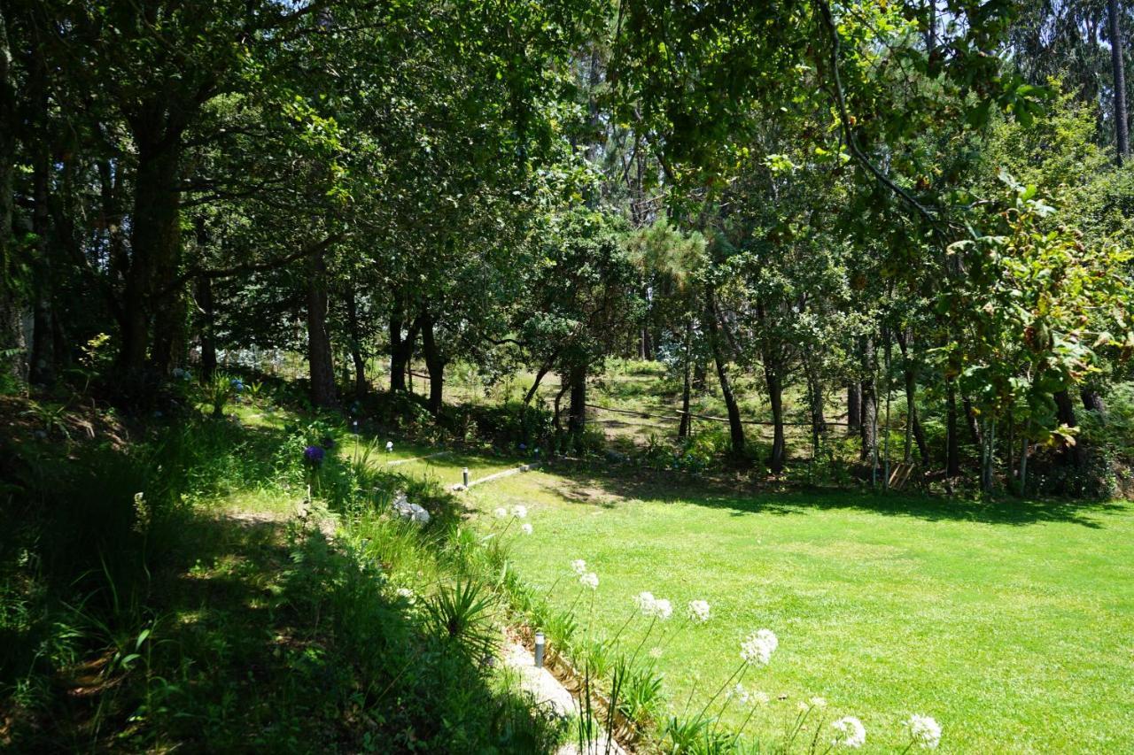 Quinta Do Vale Grande Βίλα Albergaria-a-Velha Εξωτερικό φωτογραφία