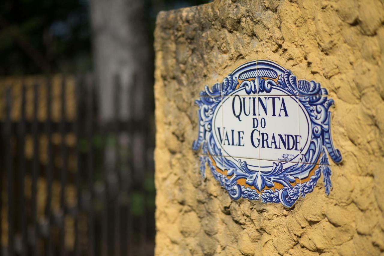 Quinta Do Vale Grande Βίλα Albergaria-a-Velha Εξωτερικό φωτογραφία