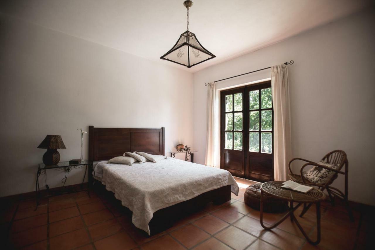 Quinta Do Vale Grande Βίλα Albergaria-a-Velha Εξωτερικό φωτογραφία